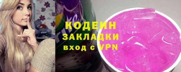 МДПВ Дмитриев