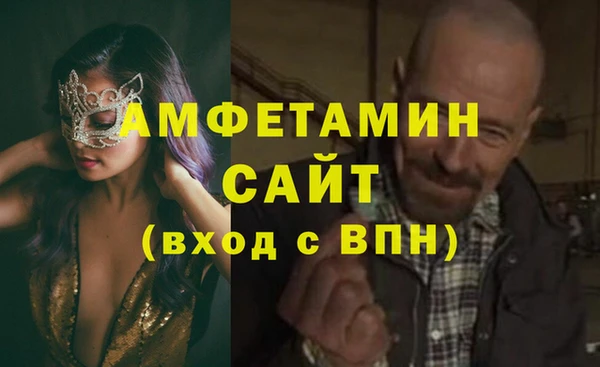 дмт Дмитровск