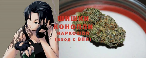 дмт Дмитровск