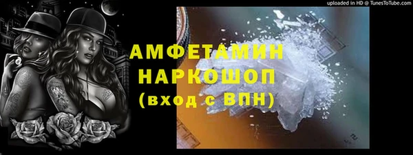 МДПВ Дмитриев