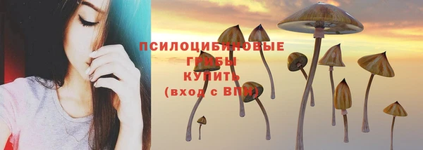 МДПВ Дмитриев