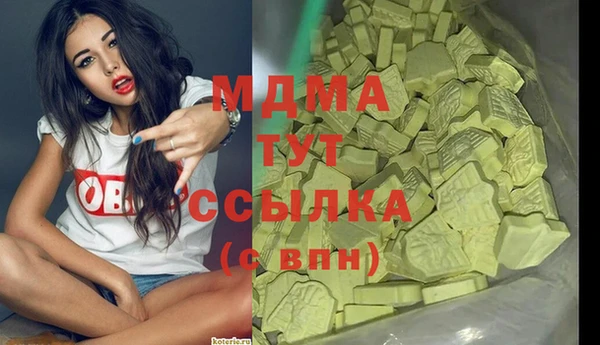 МДПВ Дмитриев