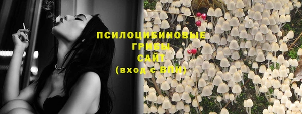дмт Дмитровск