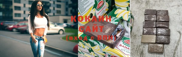 МДПВ Дмитриев